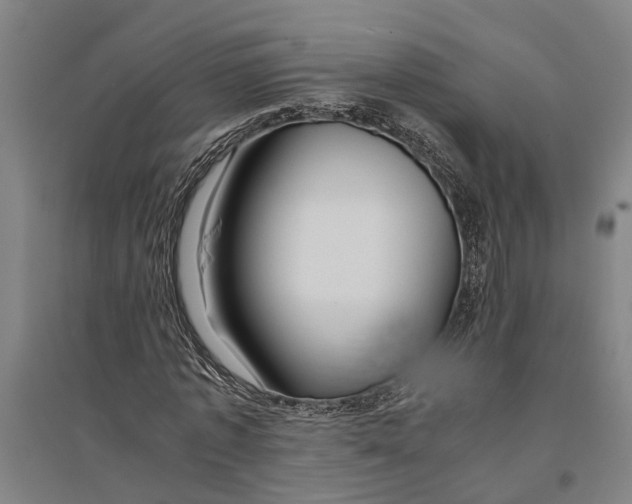 X0000094370773200711301447