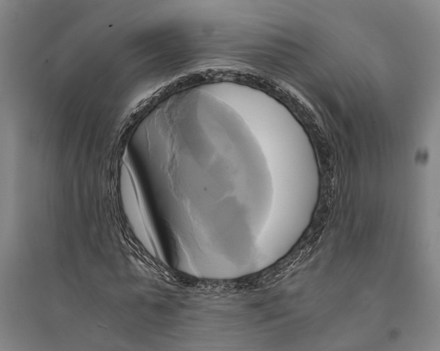 X0000094370775200711301447