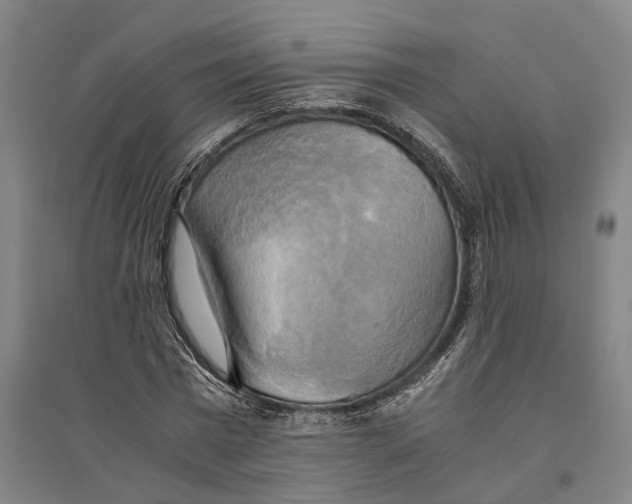 X0000094370777200711301447