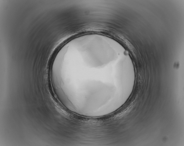 X0000094370779200711301447