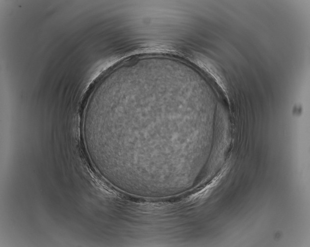 X0000094370781200711301447