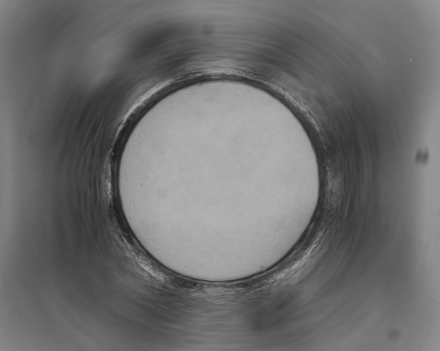 X0000094370782200711301447