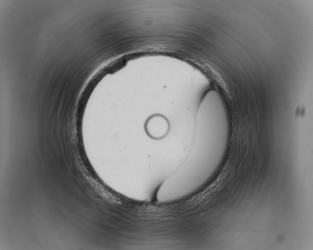 X0000094370784200711301447