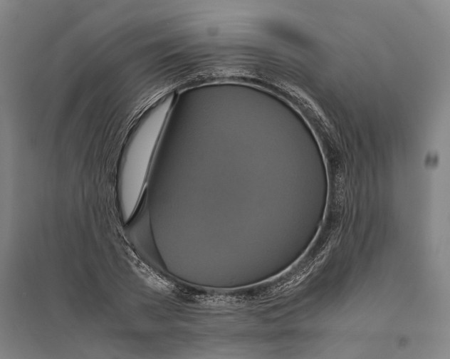 X0000094370785200711301447