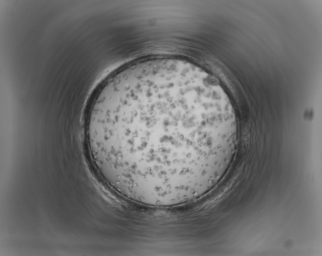 X0000094370787200711301447