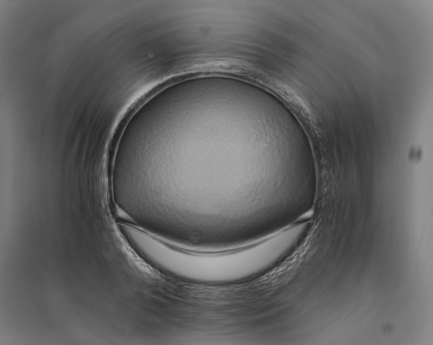 X0000094370792200711301447