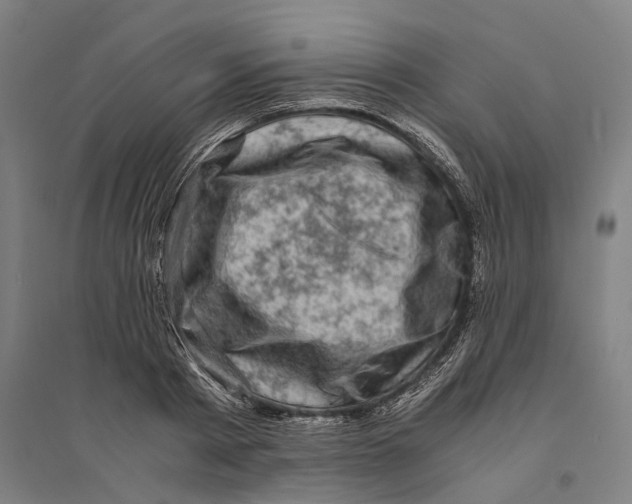 X0000094370793200711301447