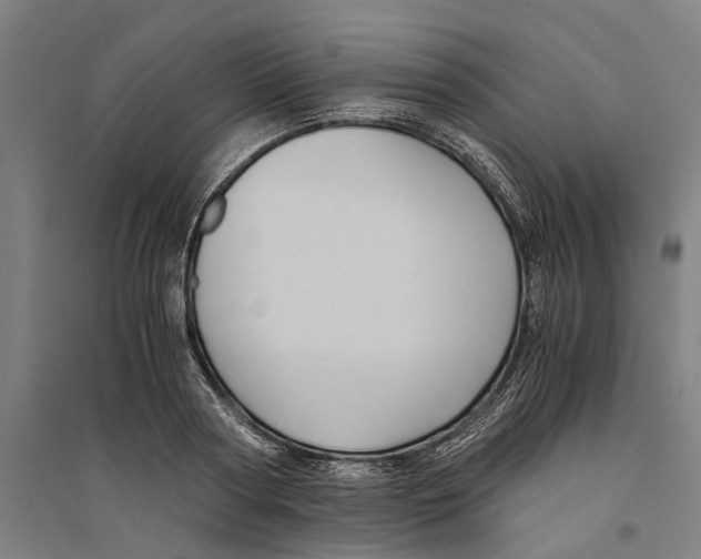 X0000094370794200711301447