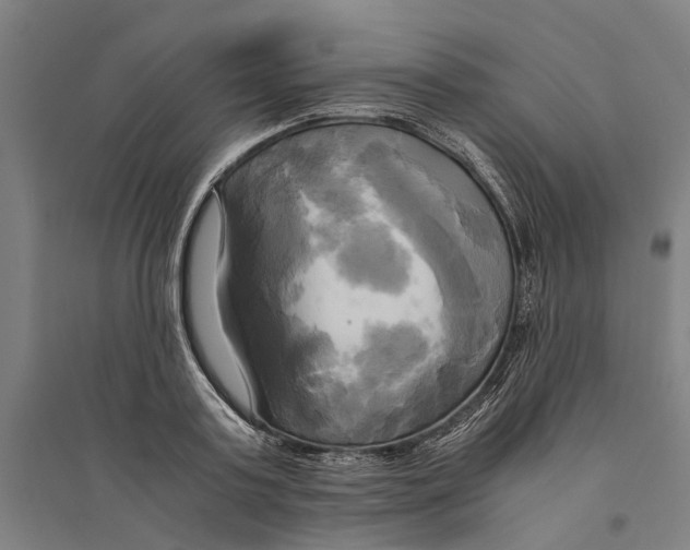 X0000094370795200711301447