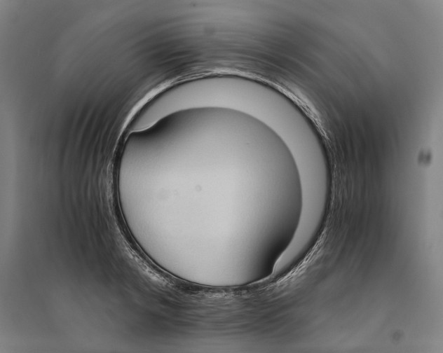 X0000094370798200711301447