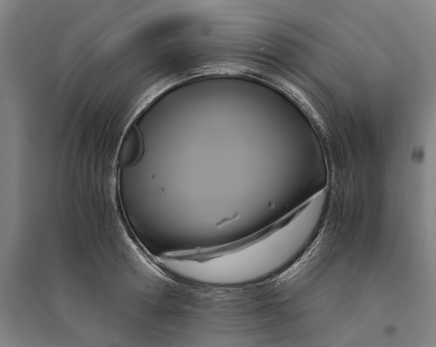 X0000094370802200711301447