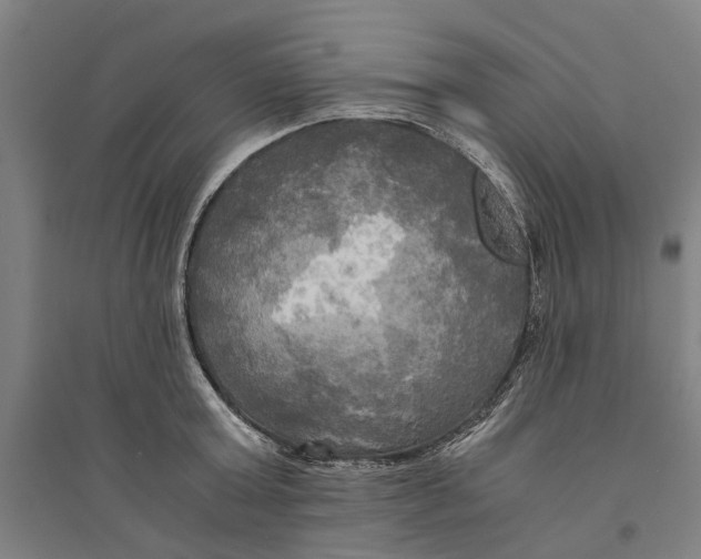 X0000094370803200711301447