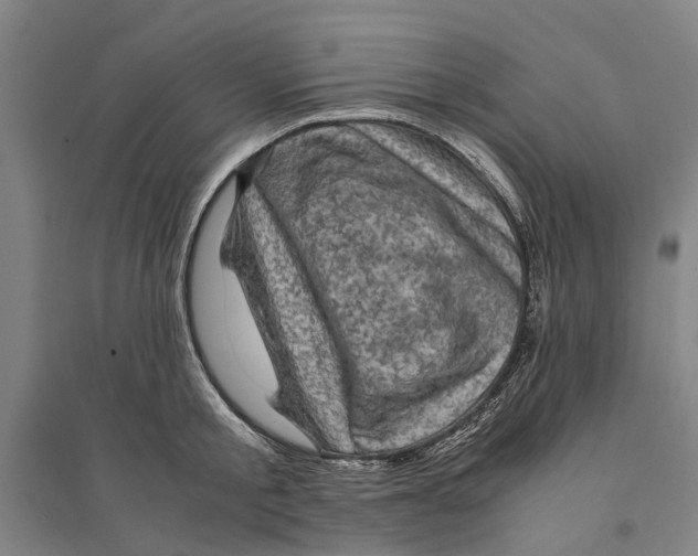 X0000094370805200711301447