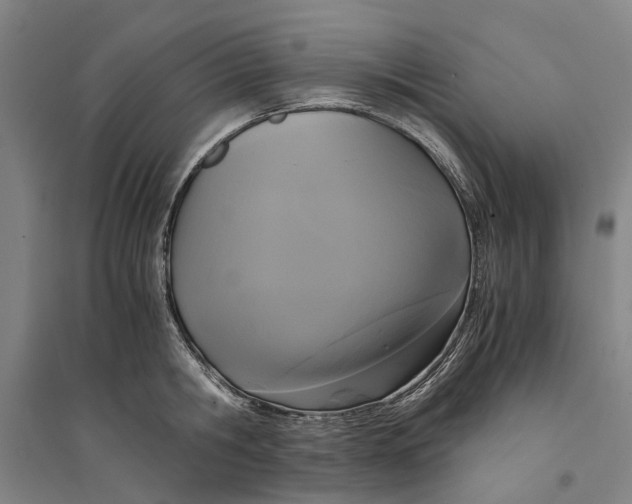 X0000094370806200711301447