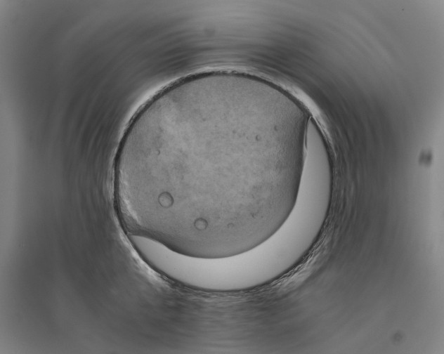 X0000094370807200711301447