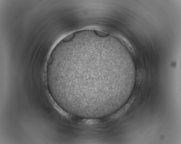 X0000094370808200711301447