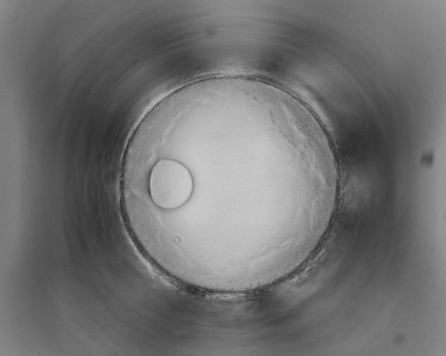 X0000094370810200711301447