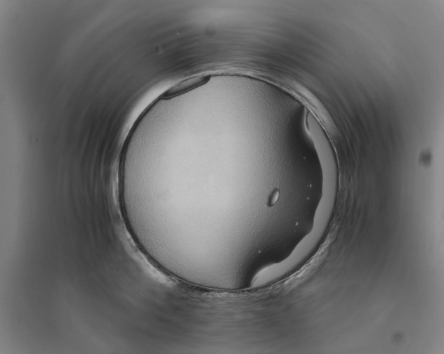 X0000094370812200711301447