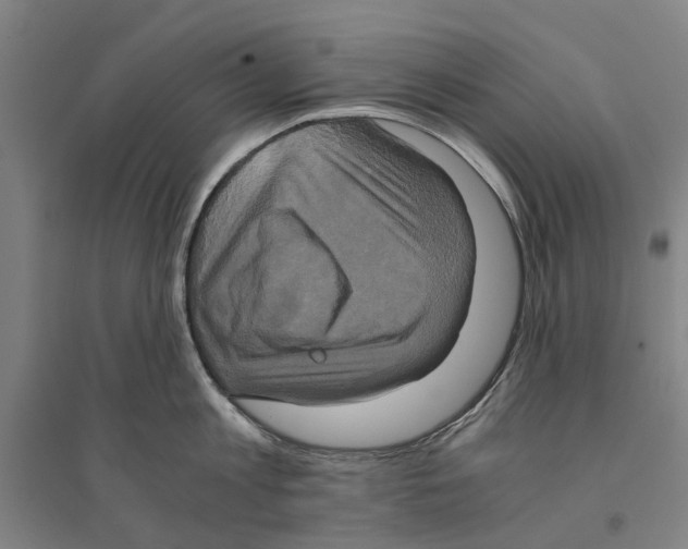 X0000094370813200711301447