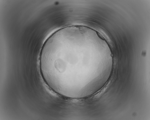 X0000094370814200711301447