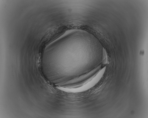 X0000094370818200711301446