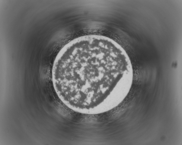 X0000094370820200711301446