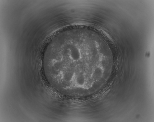 X0000094370821200711301446