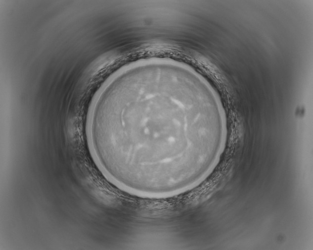 X0000094370824200711301446