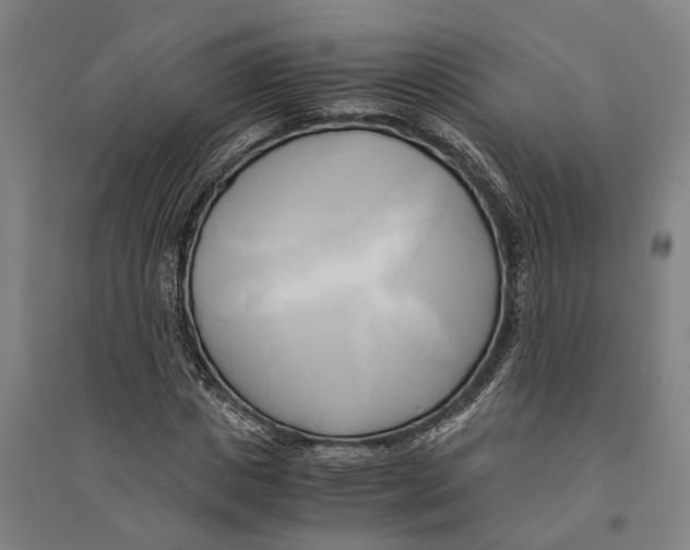 X0000094370825200711301446