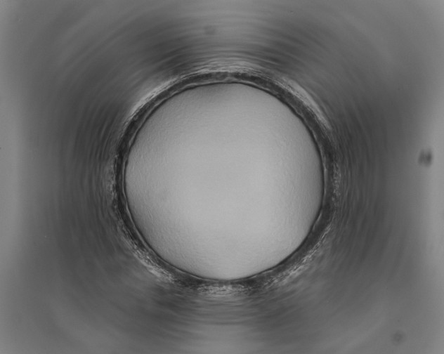 X0000094370826200711301446