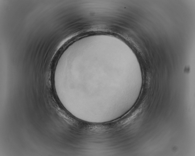 X0000094370830200711301446