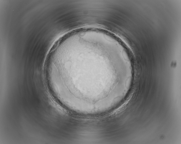 X0000094370832200711301446