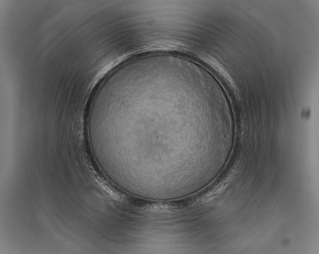 X0000094370834200711301446