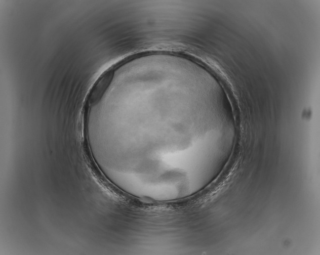 X0000094370838200711301446