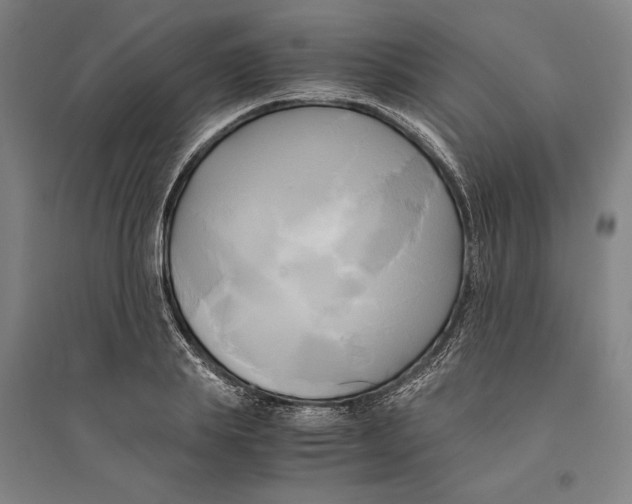 X0000094370839200711301446