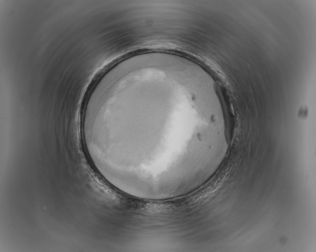 X0000094370840200711301446