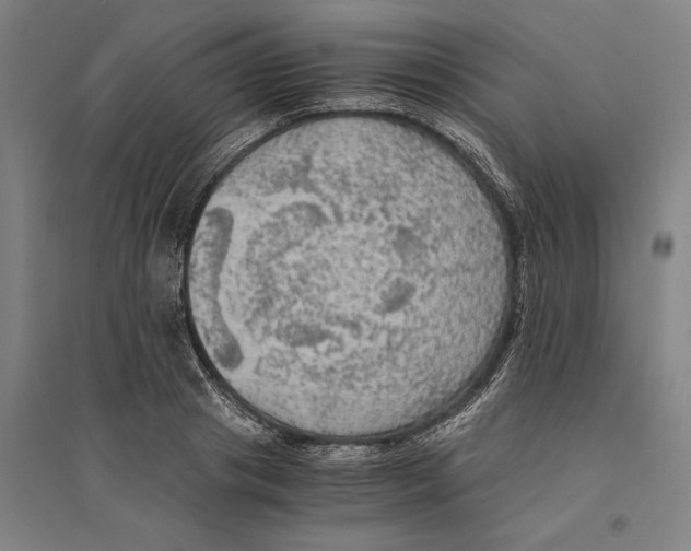 X0000094370841200711301446