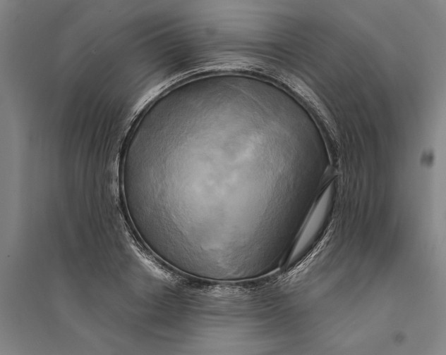 X0000094370842200711301446