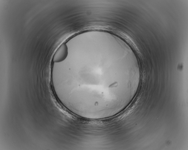 X0000094370844200711301447