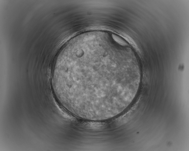 X0000094370849200711301447