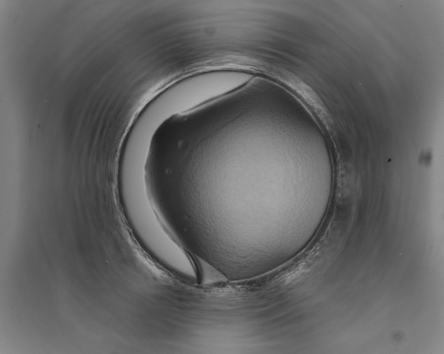 X0000094370850200711301447