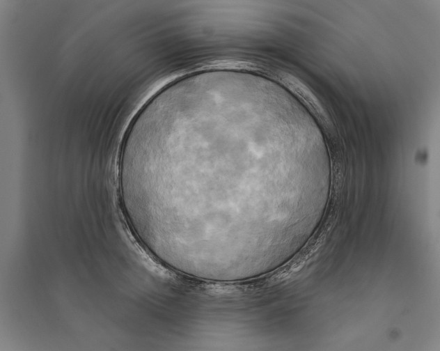 X0000094370852200711301447