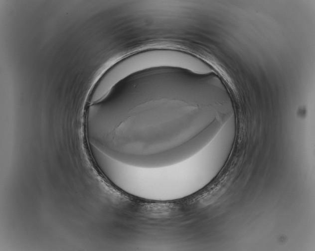 X0000094370853200711301447