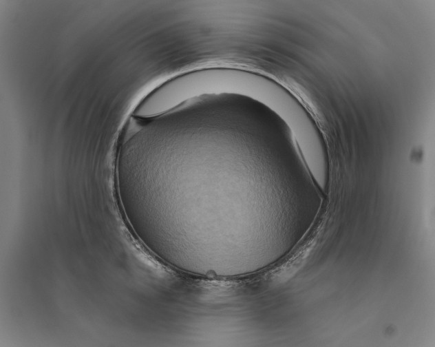 X0000094370854200711301447