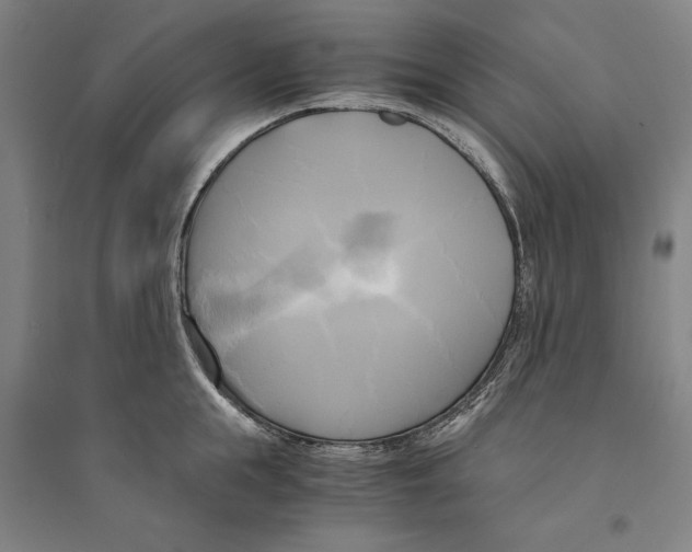 X0000094370855200711301447