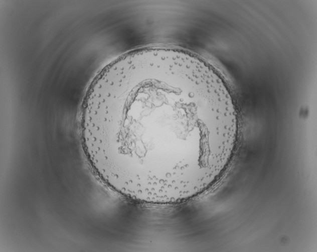 X0000094370856200711301447