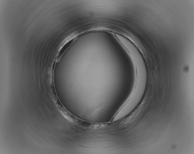 X0000094370858200711301447