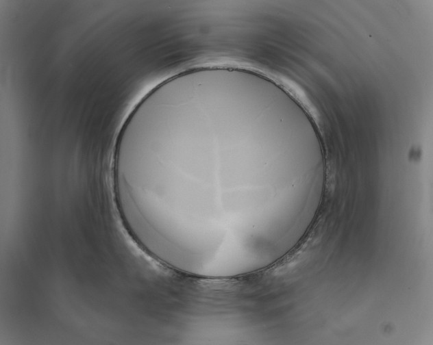 X0000094370863200711301447