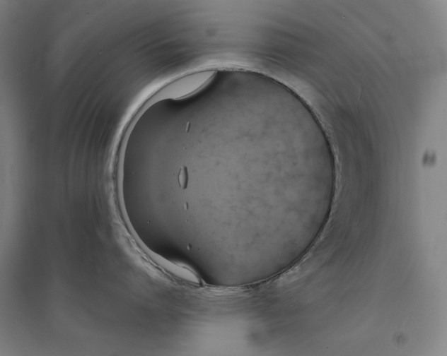 X0000094370864200711301447