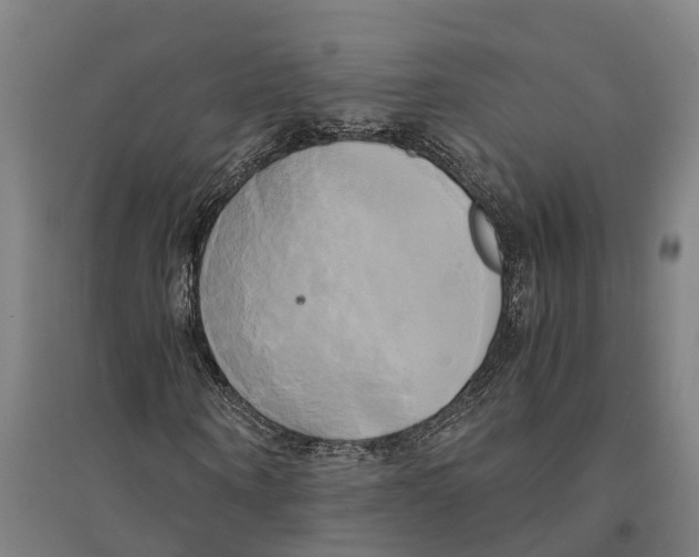 X0000094370866200711301446